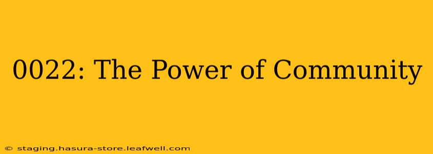 0022: The Power of Community