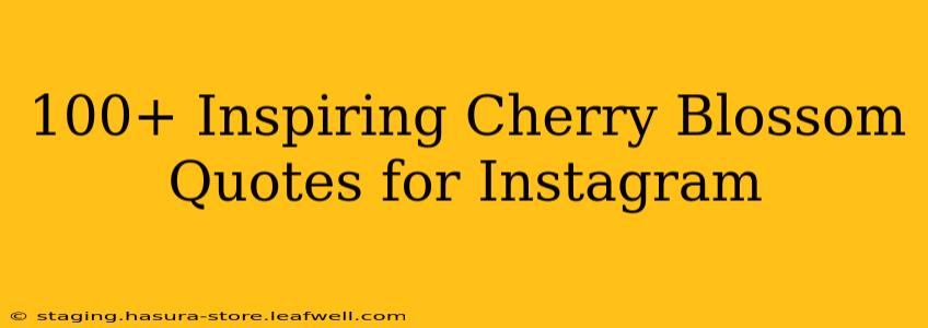 100+ Inspiring Cherry Blossom Quotes for Instagram