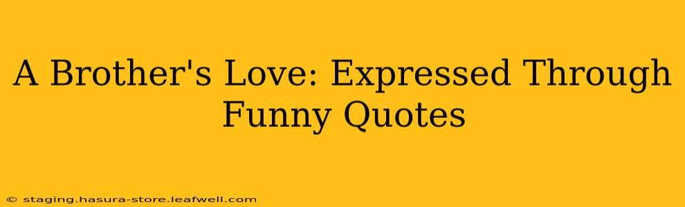 A Brother's Love: Expressed Through Funny Quotes