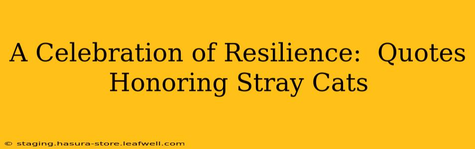 A Celebration of Resilience:  Quotes Honoring Stray Cats
