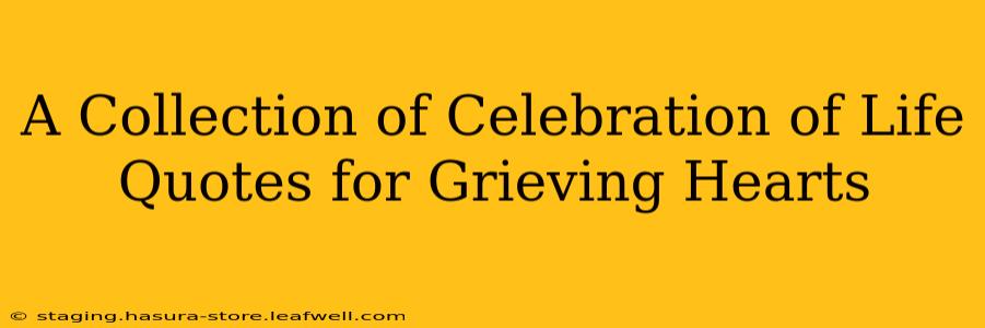 A Collection of Celebration of Life Quotes for Grieving Hearts