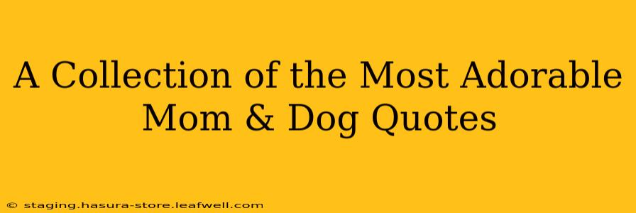 A Collection of the Most Adorable Mom & Dog Quotes
