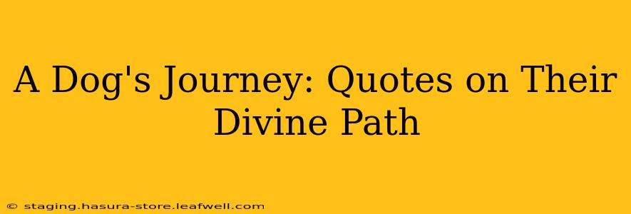 A Dog's Journey: Quotes on Their Divine Path
