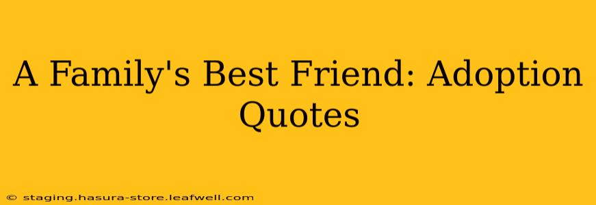 A Family's Best Friend: Adoption Quotes
