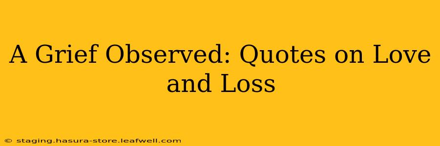 A Grief Observed: Quotes on Love and Loss