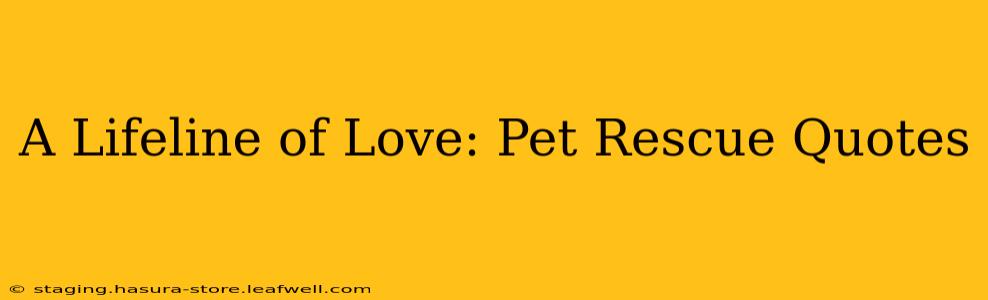 A Lifeline of Love: Pet Rescue Quotes