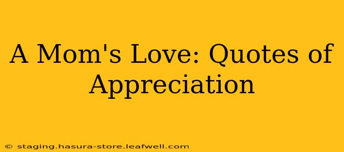 A Mom's Love: Quotes of Appreciation