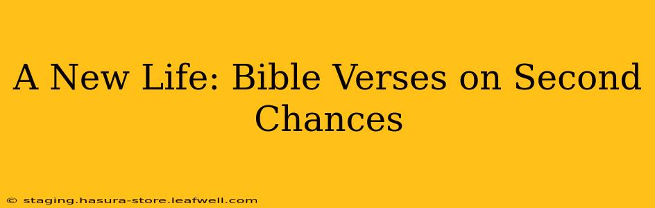 A New Life: Bible Verses on Second Chances