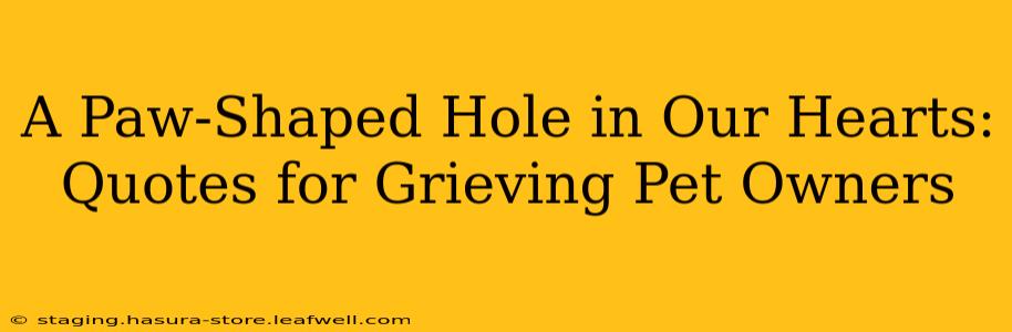 A Paw-Shaped Hole in Our Hearts:  Quotes for Grieving Pet Owners