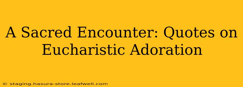 A Sacred Encounter: Quotes on Eucharistic Adoration