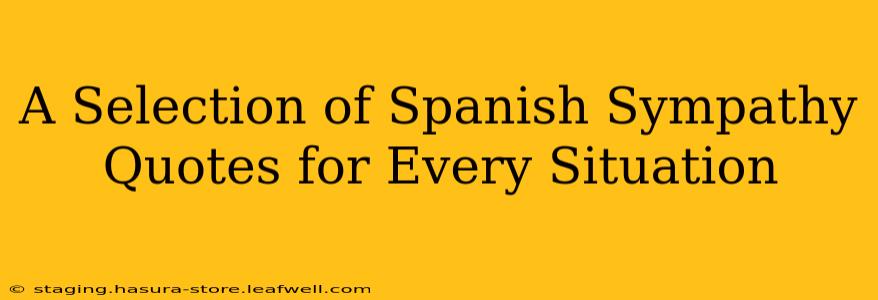 A Selection of Spanish Sympathy Quotes for Every Situation