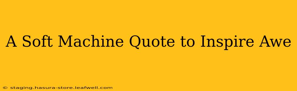 A Soft Machine Quote to Inspire Awe