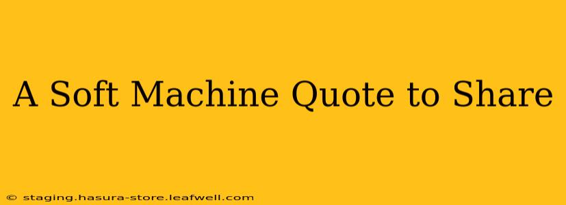 A Soft Machine Quote to Share