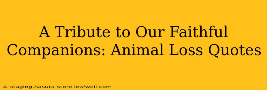 A Tribute to Our Faithful Companions: Animal Loss Quotes