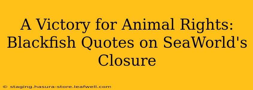 A Victory for Animal Rights: Blackfish Quotes on SeaWorld's Closure