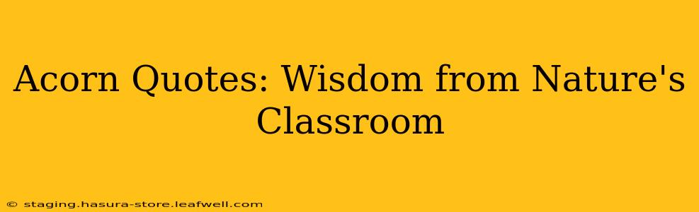 Acorn Quotes: Wisdom from Nature's Classroom