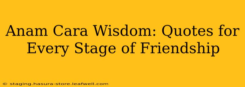 Anam Cara Wisdom: Quotes for Every Stage of Friendship