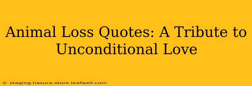 Animal Loss Quotes: A Tribute to Unconditional Love