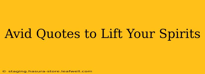 Avid Quotes to Lift Your Spirits
