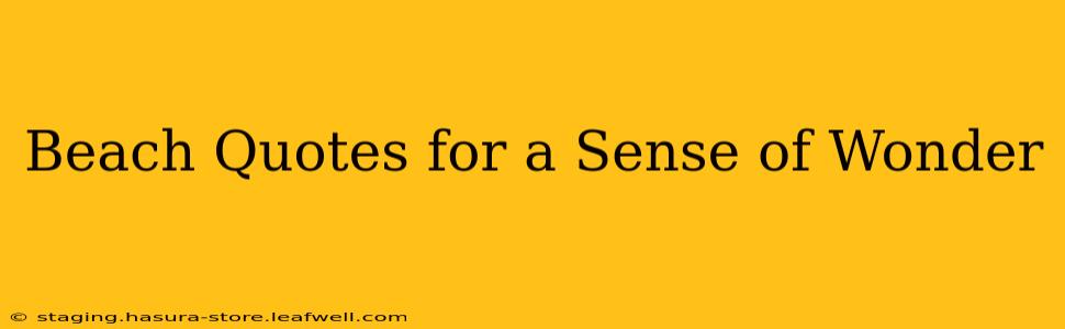 Beach Quotes for a Sense of Wonder