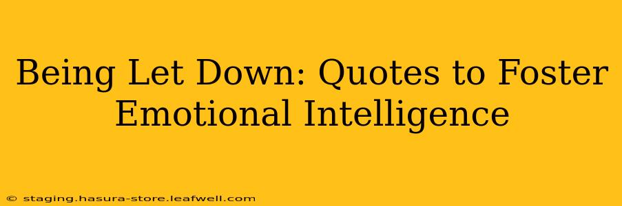 Being Let Down: Quotes to Foster Emotional Intelligence