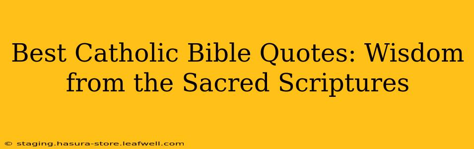 Best Catholic Bible Quotes: Wisdom from the Sacred Scriptures