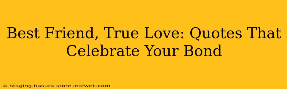 Best Friend, True Love: Quotes That Celebrate Your Bond