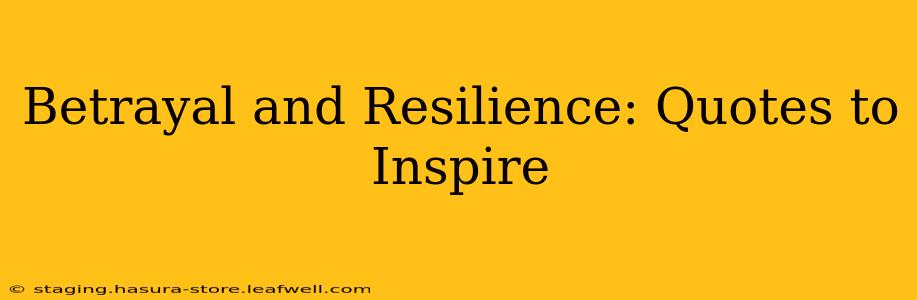 Betrayal and Resilience: Quotes to Inspire
