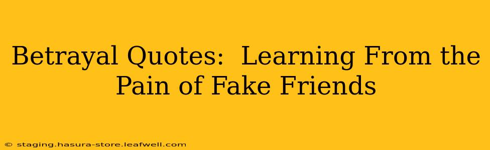 Betrayal Quotes:  Learning From the Pain of Fake Friends