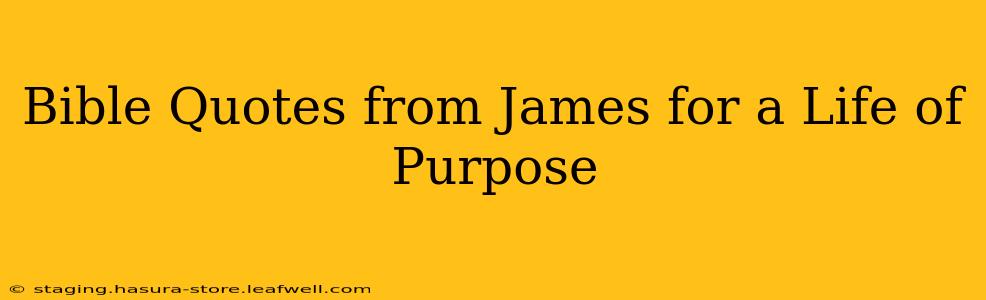 Bible Quotes from James for a Life of Purpose