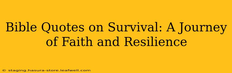 Bible Quotes on Survival: A Journey of Faith and Resilience