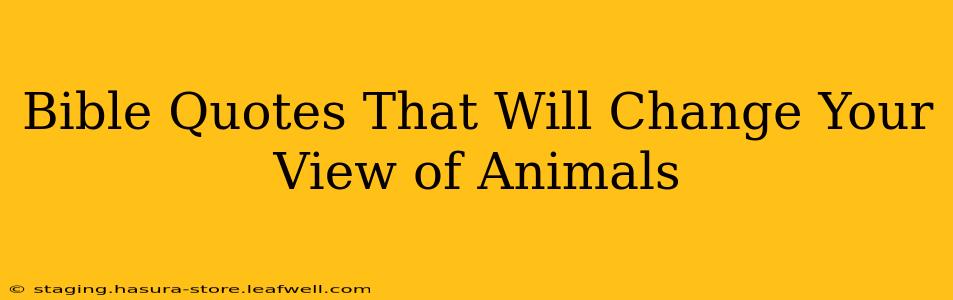 Bible Quotes That Will Change Your View of Animals