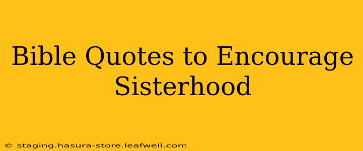 Bible Quotes to Encourage Sisterhood