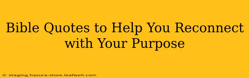 Bible Quotes to Help You Reconnect with Your Purpose