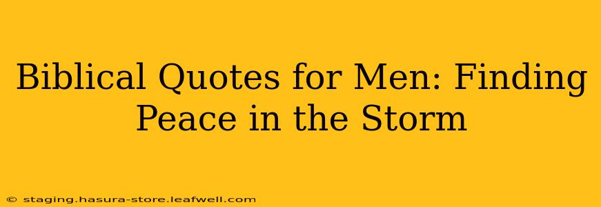 Biblical Quotes for Men: Finding Peace in the Storm