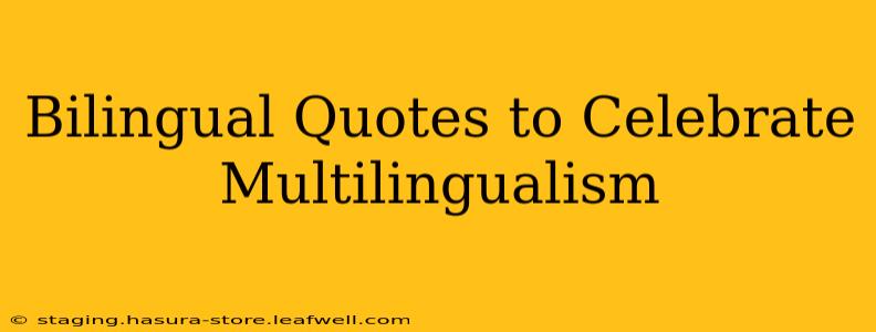 Bilingual Quotes to Celebrate Multilingualism