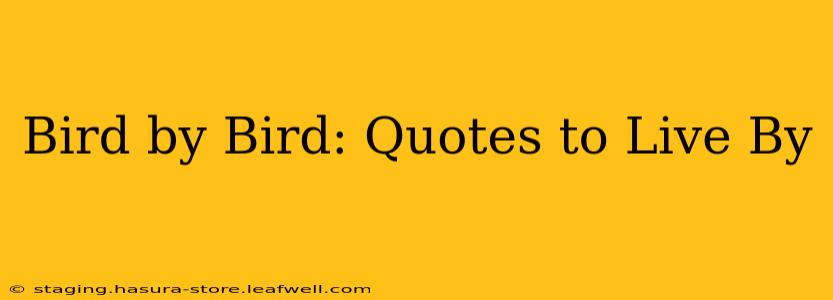 Bird by Bird: Quotes to Live By