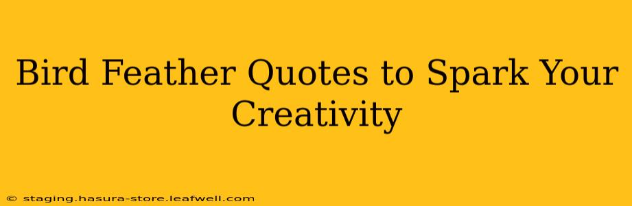 Bird Feather Quotes to Spark Your Creativity