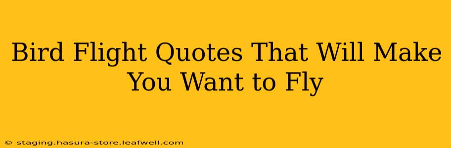 Bird Flight Quotes That Will Make You Want to Fly