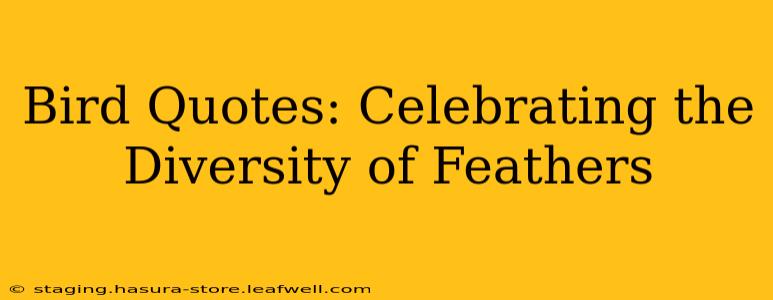 Bird Quotes: Celebrating the Diversity of Feathers