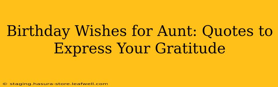 Birthday Wishes for Aunt: Quotes to Express Your Gratitude