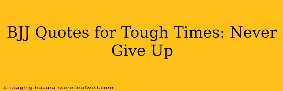 BJJ Quotes for Tough Times: Never Give Up