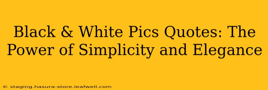 Black & White Pics Quotes: The Power of Simplicity and Elegance