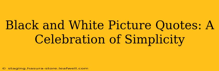 Black and White Picture Quotes: A Celebration of Simplicity