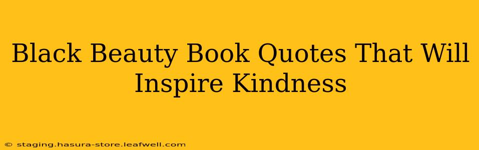 Black Beauty Book Quotes That Will Inspire Kindness