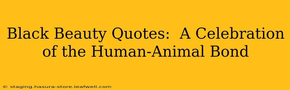 Black Beauty Quotes:  A Celebration of the Human-Animal Bond