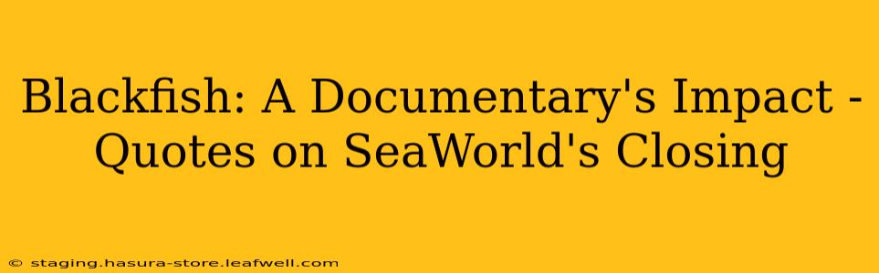 Blackfish: A Documentary's Impact - Quotes on SeaWorld's Closing