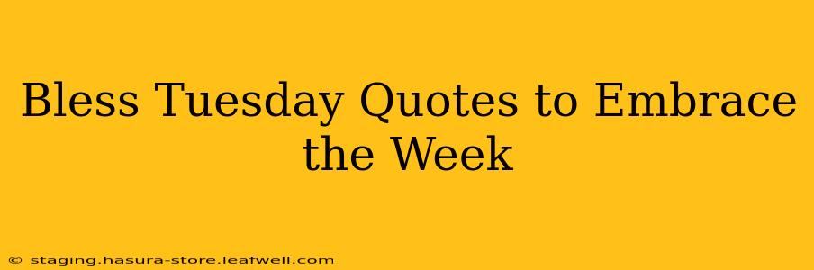 Bless Tuesday Quotes to Embrace the Week