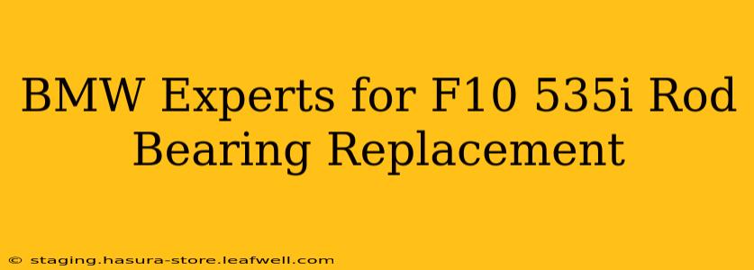 BMW Experts for F10 535i Rod Bearing Replacement