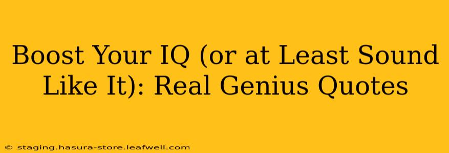 Boost Your IQ (or at Least Sound Like It): Real Genius Quotes